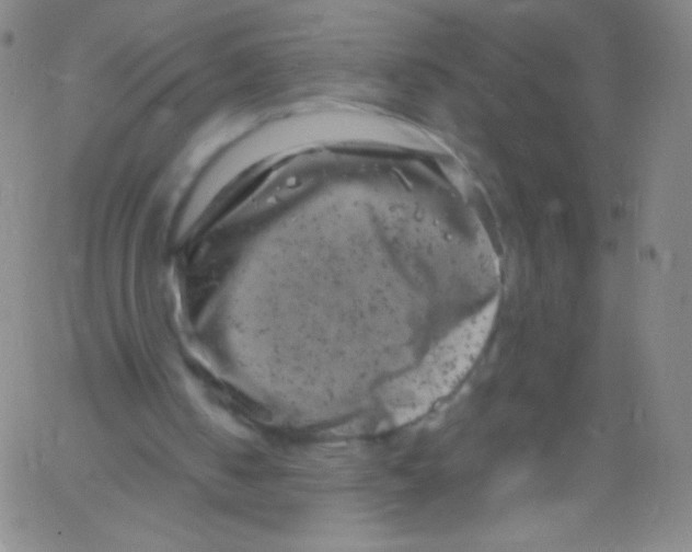 X0000061760050200512231601