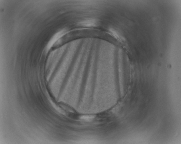 X0000061760051200512231601