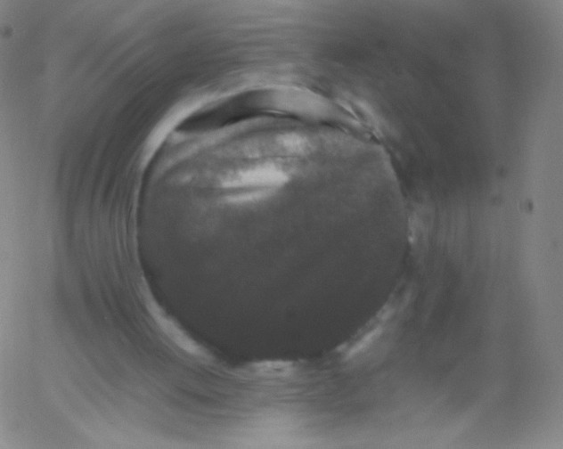 X0000061760052200512231601