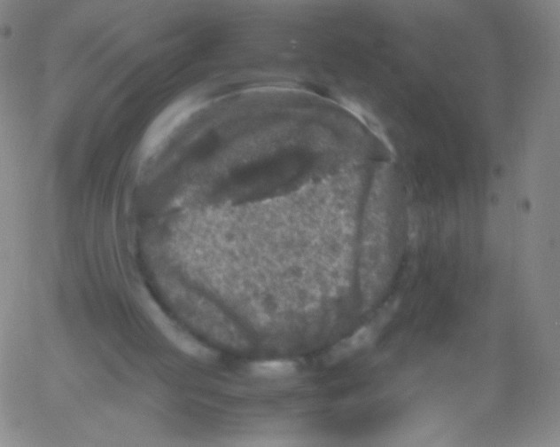 X0000061760053200512231601