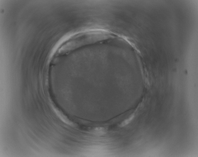 X0000061760056200512231601