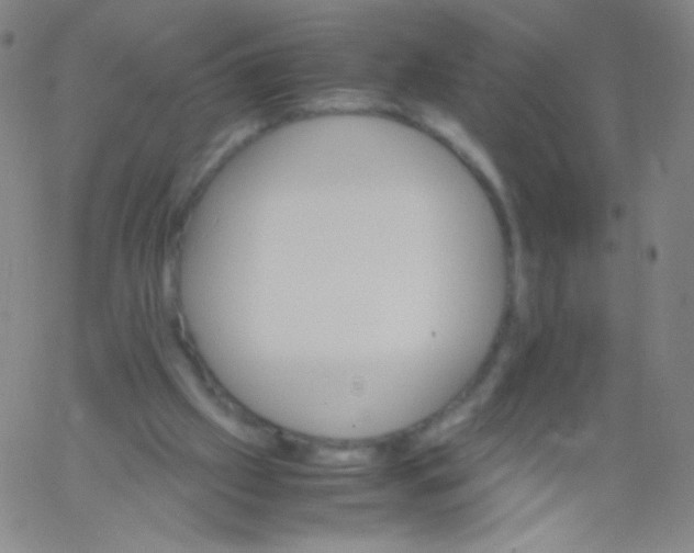 X0000061760057200512231601