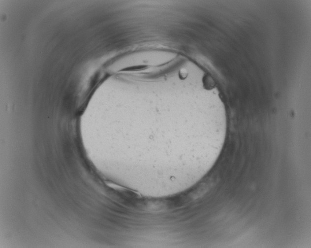 X0000061760060200512231601