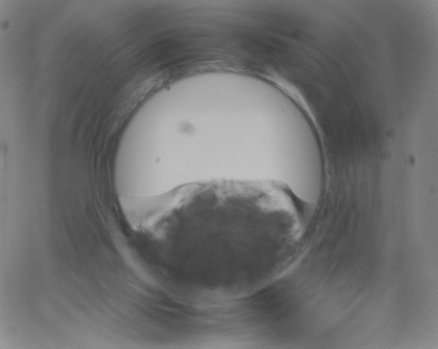 X0000061760061200512231601