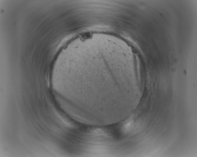 X0000061760062200512231601