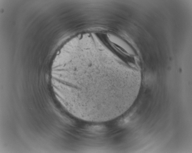 X0000061760063200512231601