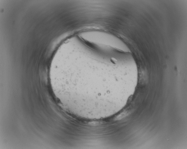 X0000061760064200512231601