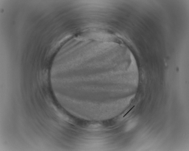 X0000061760066200512231601