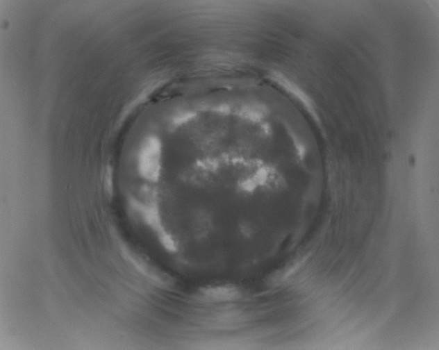 X0000061760067200512231601