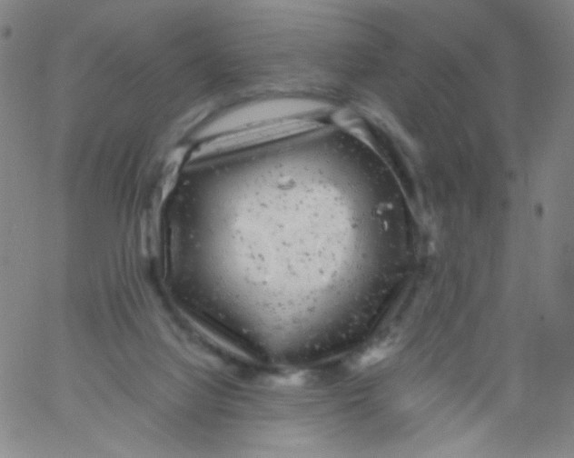 X0000061760068200512231601