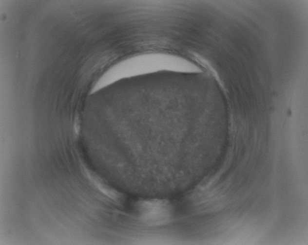 X0000061760069200512231601