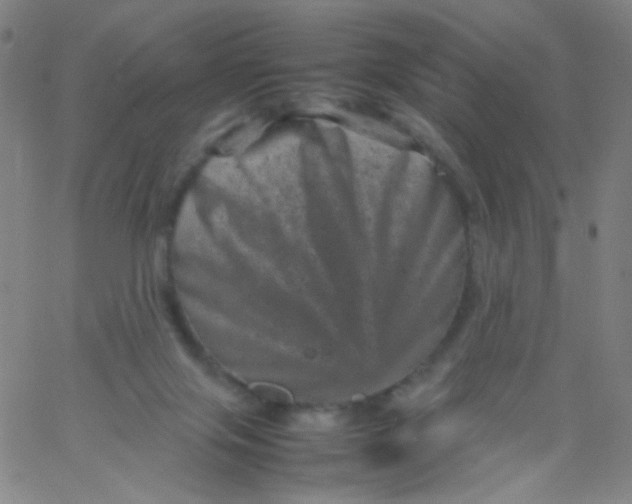 X0000061760071200512231601