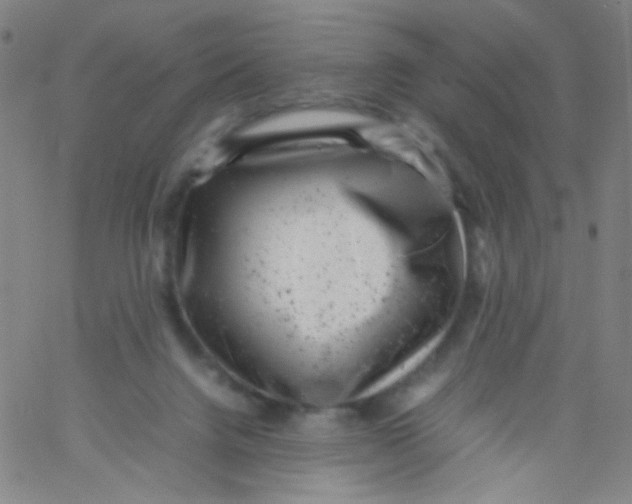 X0000061760072200512231601