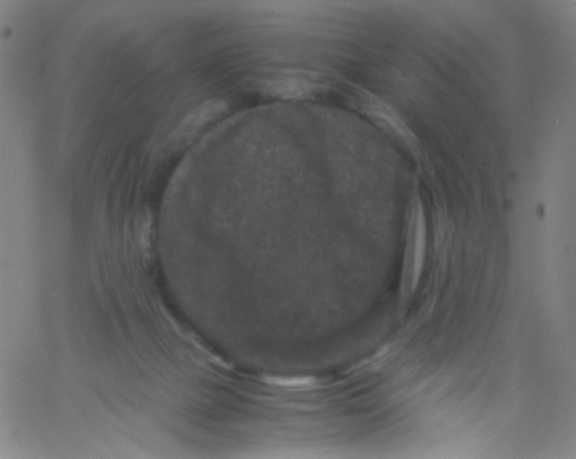 X0000061760073200512231601