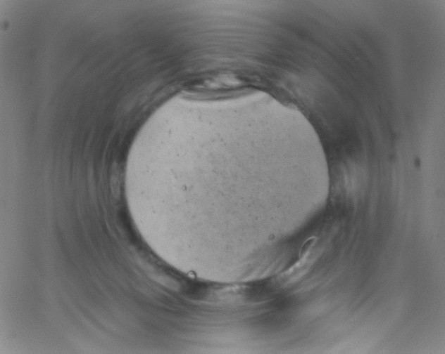 X0000061760078200512231602