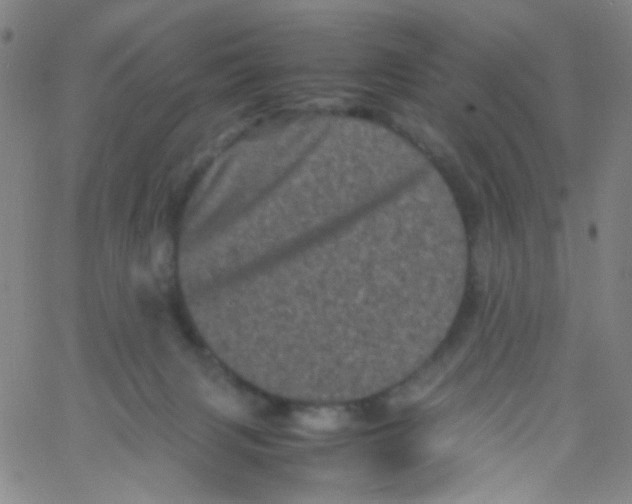 X0000061760079200512231602