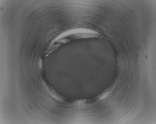 X0000061760080200512231602