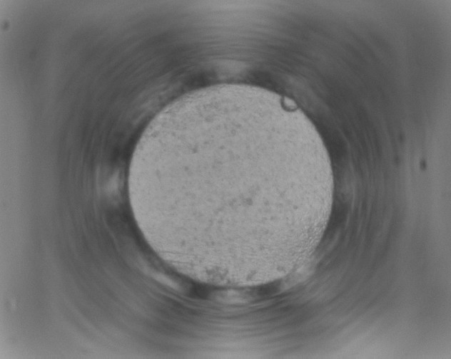 X0000061760082200512231602