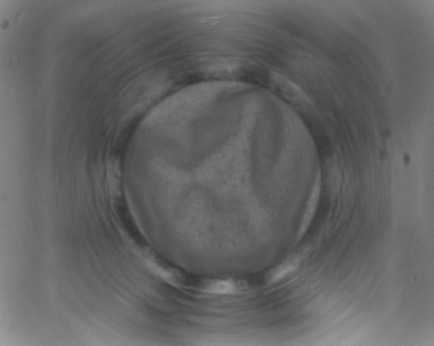 X0000061760083200512231602