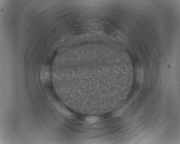 X0000061760085200512231602