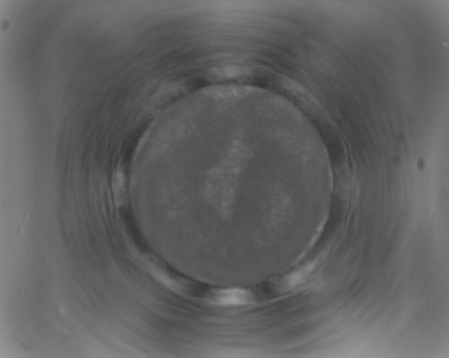 X0000061760087200512231602