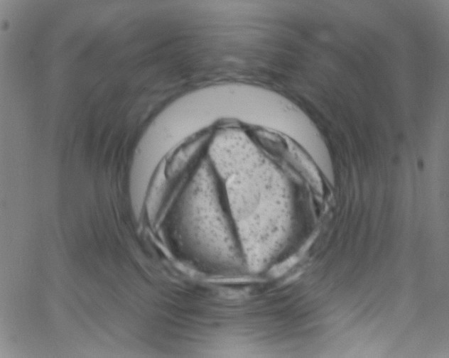 X0000061760088200512231602