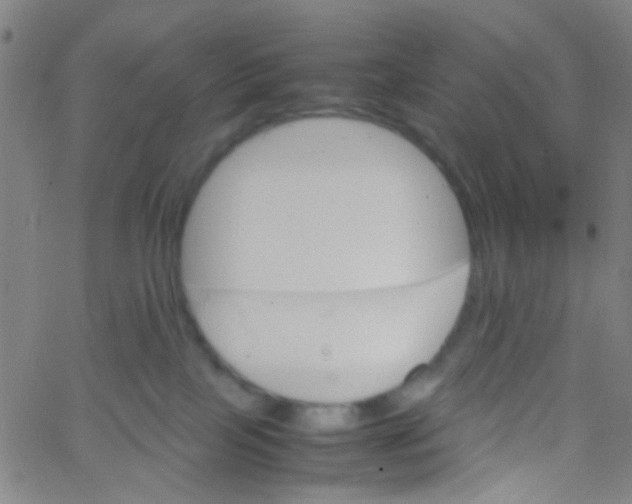 X0000061760089200512231602