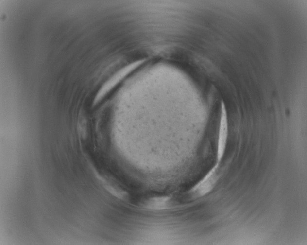 X0000061760090200512231602