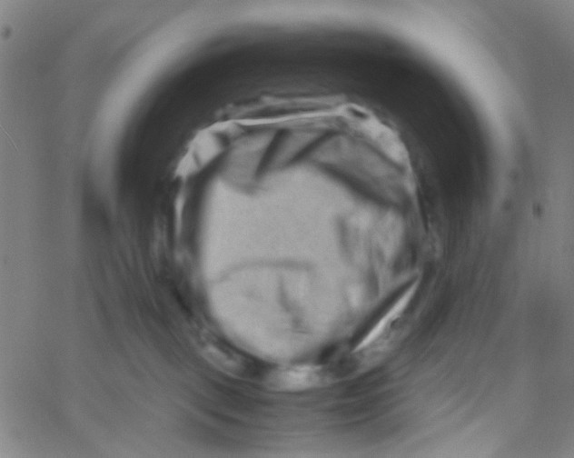 X0000061760093200512231602