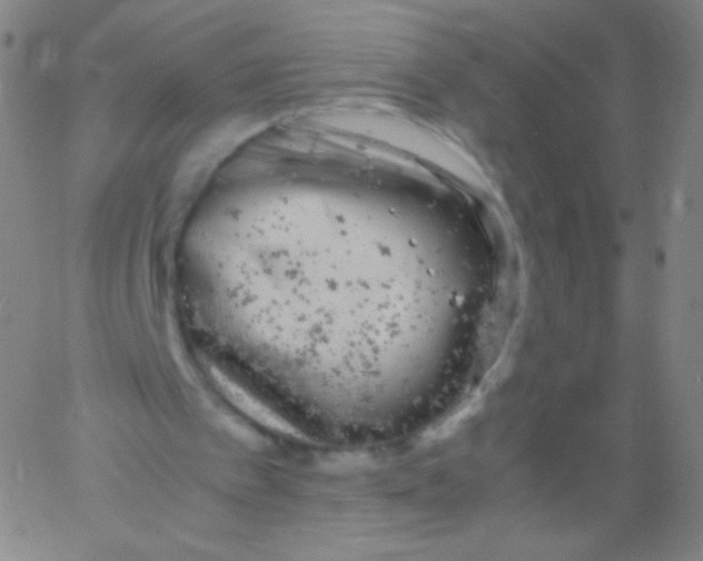 X0000061760097200512231601