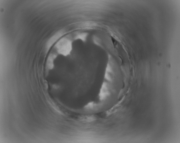 X0000061760099200512231601