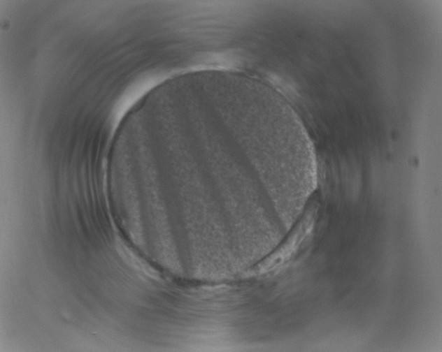 X0000061760100200512231601