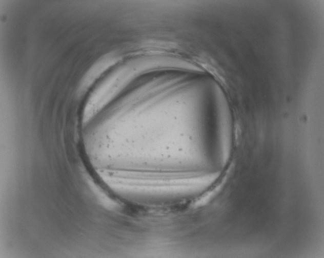 X0000061760101200512231601