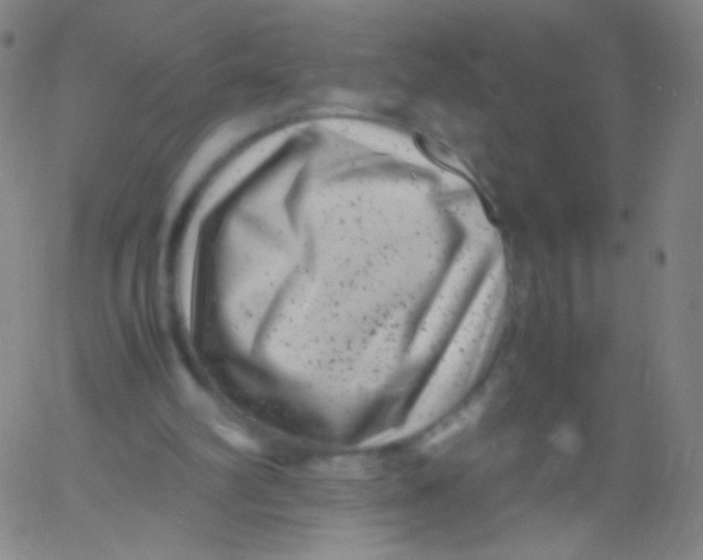 X0000061760102200512231601