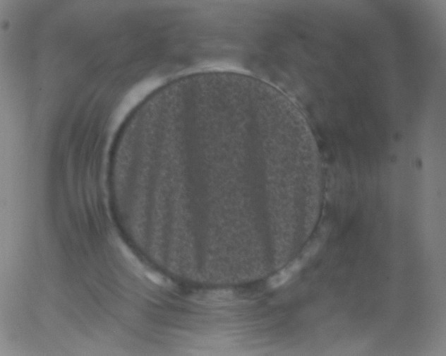 X0000061760104200512231601