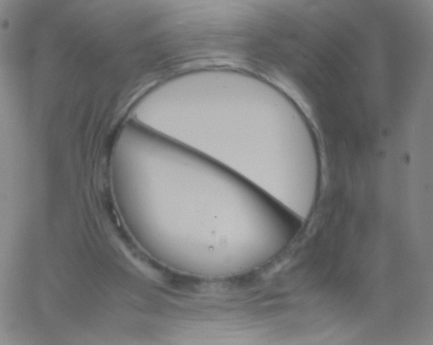 X0000061760105200512231601