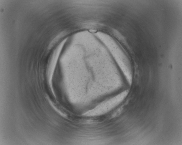 X0000061760106200512231601