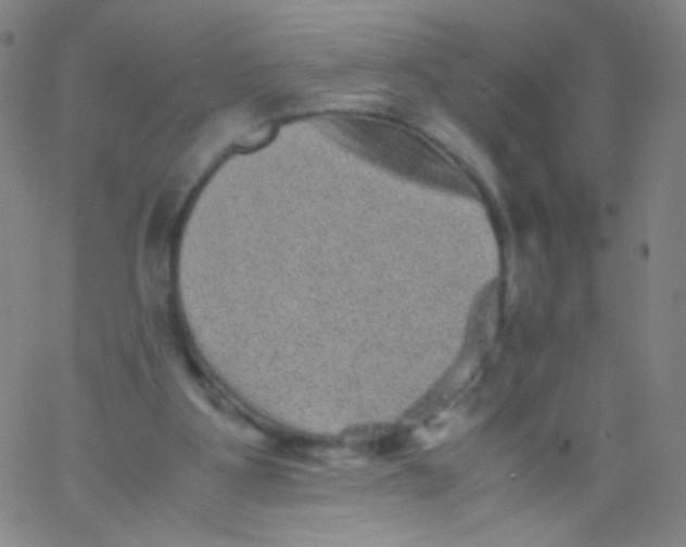 X0000061760107200512231601