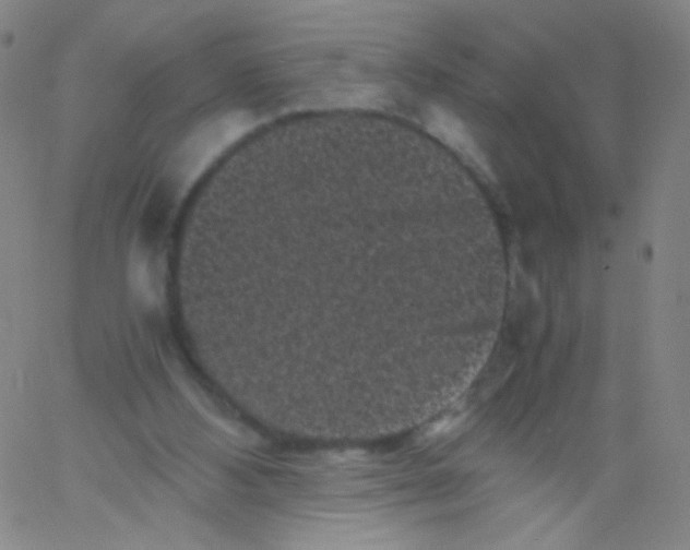 X0000061760108200512231601