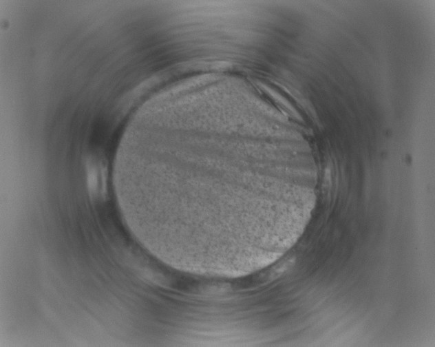 X0000061760110200512231601