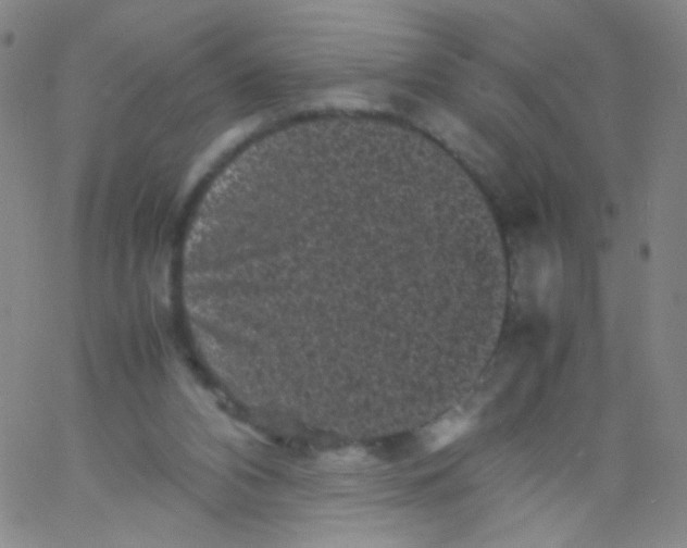 X0000061760112200512231601