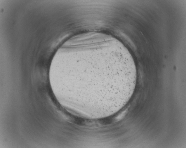 X0000061760113200512231601