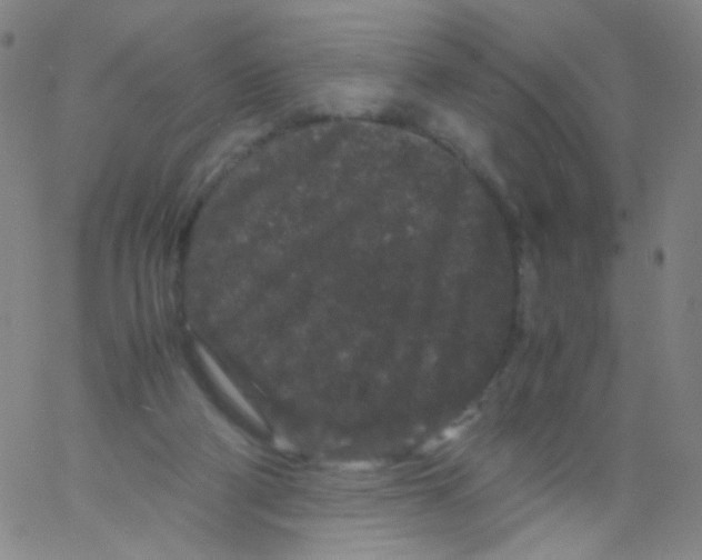 X0000061760114200512231601