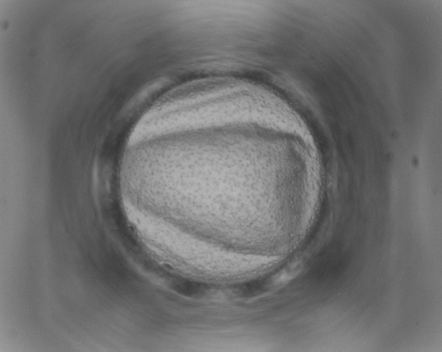 X0000061760115200512231601