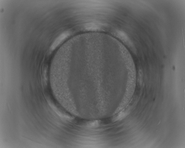 X0000061760116200512231601