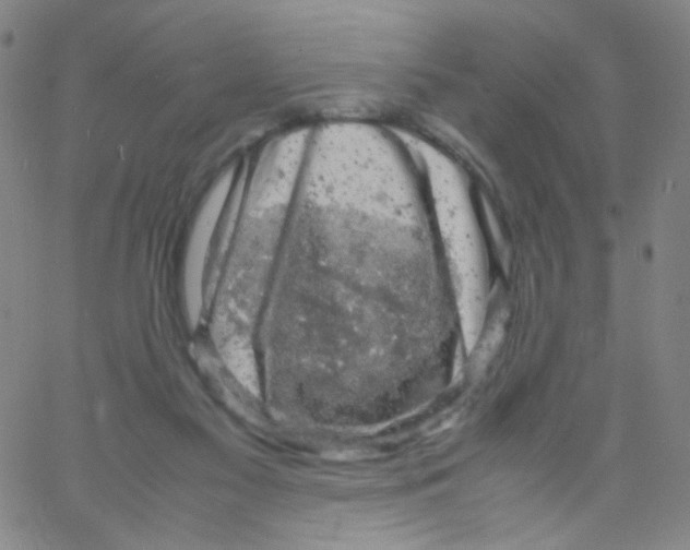 X0000061760117200512231601