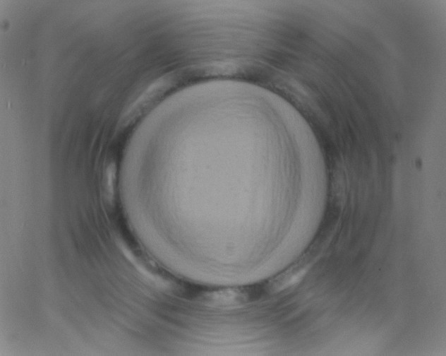 X0000061760118200512231601