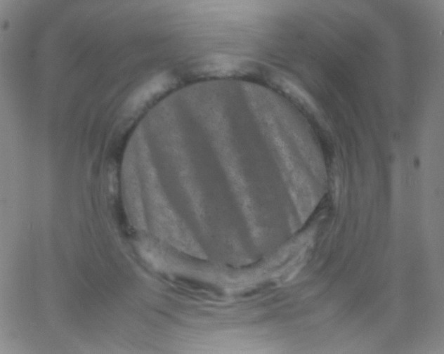 X0000061760119200512231601