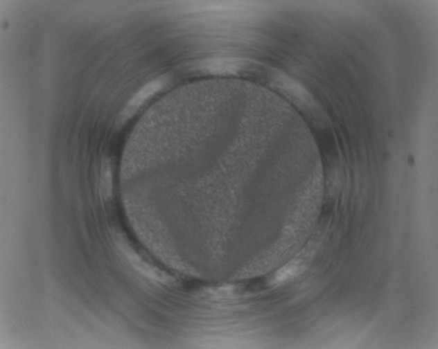 X0000061760120200512231601