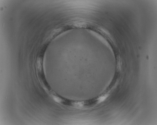 X0000061760121200512231601